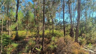 Land for sale in Figueira da Foz, Portugal — €15,000