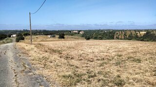 Terreno de 8250 m² em Santarém