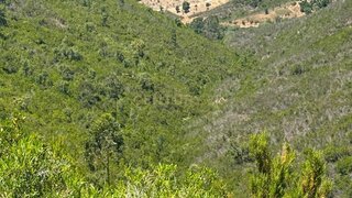 Land for sale in Aljezur, Portugal — €220,000