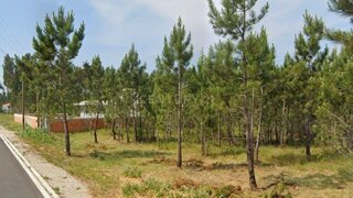 Land for sale in Vagos, Portugal — €62,000