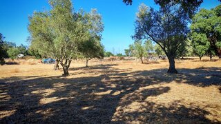 Land for sale in Palmela, Portugal — €55,000