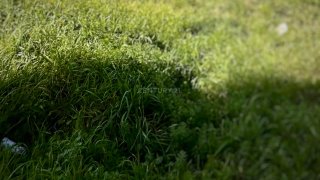 Land for sale in Paredes, Portugal — €110,000