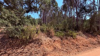 Land for sale in Abrantes, Portugal — €22,500