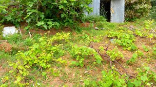 Land for sale in Machico, Portugal — €40,000