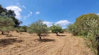 Land for sale in Fundão, Portugal — €17,000