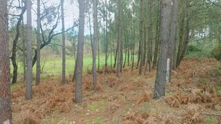 Land for sale in Leiria, Portugal — €27,500
