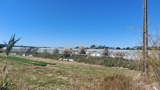 Terreno em Póvoa de Varzim