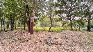 Land for sale in Pedrógão Grande, Portugal — €14,000