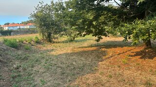 Land for sale in Vila Verde, Portugal — €40,000