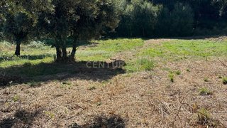 Land for sale in Pombal, Portugal — €19,500