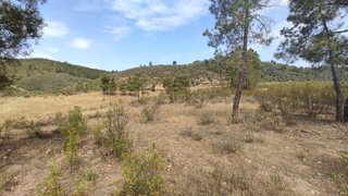 Land for sale in Vila Velha de Ródão, Portugal — €15,000