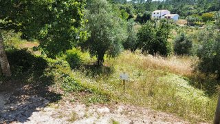 Land for sale in Ansião, Portugal — €15,000