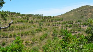 Land for sale in Odemira, Portugal — €185,000