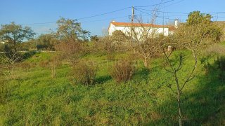 Land for sale in Pombal, Portugal — €50,000
