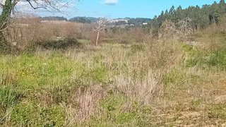 Land for sale in Lousada, Portugal — €79,800