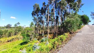 Land for sale in Leiria, Portugal — €96,500