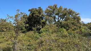 Land for sale in Loulé, Portugal — €20,000