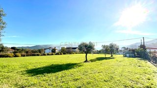 Terreno de 2000 m² em Viana do Castelo