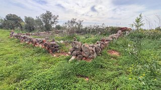 Land for sale in Silves, Portugal — €89,000