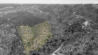 Land for sale in Almodôvar, Portugal — €10,000
