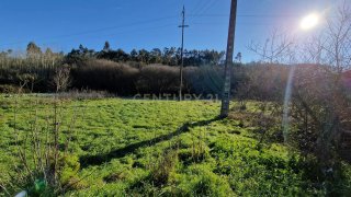 Land for sale in Pombal, Portugal — €12,500