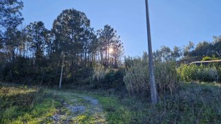 Land for sale in Pombal, Portugal — €99,500