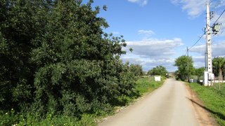 Land for sale in Silves, Portugal — €550,000