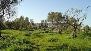 Land for sale in Loures, Portugal — €799,900