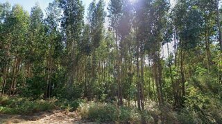 Land for sale in Pedrógão Grande, Portugal — €10,000