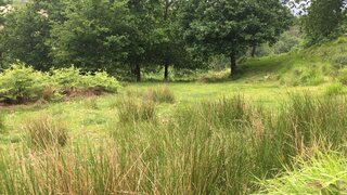 Land for sale in Vieira do Minho, Portugal — €62,500