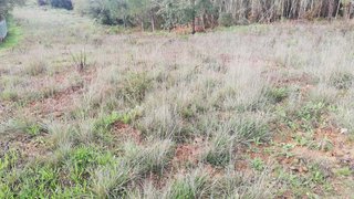 Land for sale in Alenquer, Portugal — €34,900
