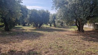 Land for sale in Pombal, Portugal — €68,000