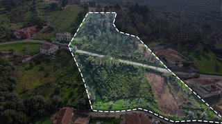 Terreno de 11 805 m² em Coimbra
