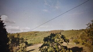 Land for sale in Sertã, Portugal — €75,000