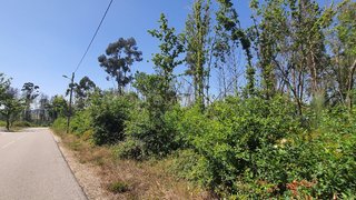Land for sale in Carregal do Sal, Portugal — €55,000