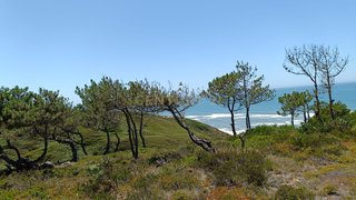 Land for sale in Alcobaça, Portugal — €79,000
