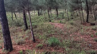 Terreno de 2692 m² em Viseu