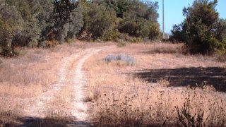 Terreno de 5440 m² em Faro