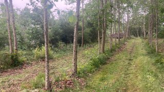 Land for sale in Penafiel, Portugal — €199,000