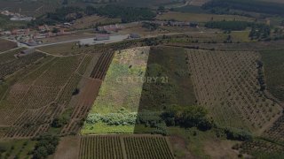 Land for sale in Bombarral, Portugal — €17,500