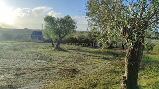 Terreno de 7080 m² em Santarém