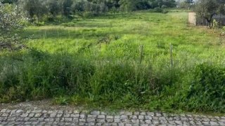 Land for sale in Ansião, Portugal — €32,000