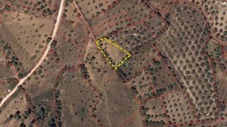 Terreno de 920 m² em Castelo Branco