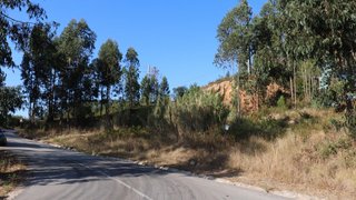 Land for sale in Pombal, Portugal — €320,000