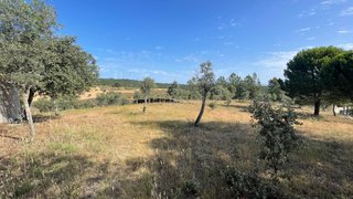Terreno em Castelo Branco · 1625 m² · 20 000 €