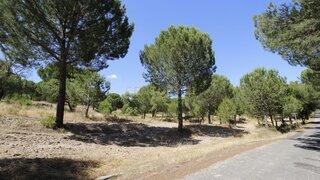 Land for sale in Mora, Portugal — €170,000