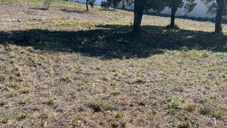 Land for sale in Ourém, Portugal — €155,000