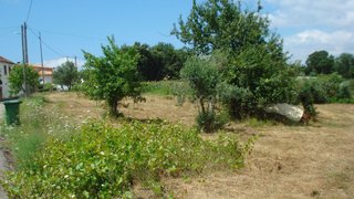 Land for sale in Vila Nova de Poiares, Portugal — €39,500