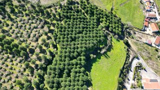 Land for sale in Cadaval, Portugal — €152,000