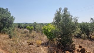 Land for sale in Silves, Portugal — €150,000